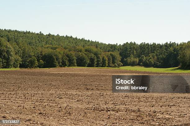 田舎の風景 - マサチューセッツ州のストックフォトや画像を多数ご用意 - マサチューセッツ州, マサチューセッツ州 ミドルセックス郡, 並木