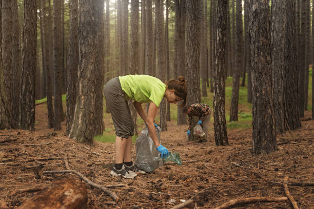 istock Eco-Friendly Cleanup in the Forest 1727338787