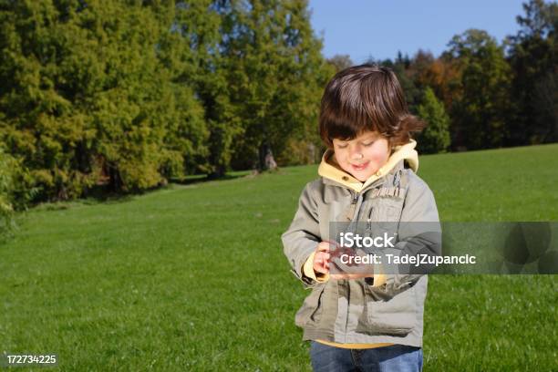 Boy In The Park Foto de stock y más banco de imágenes de Agarrar - Agarrar, Castaña, Cielo despejado