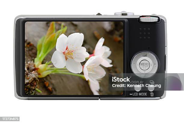 디지털 카메라 0명에 대한 스톡 사진 및 기타 이미지 - 0명, 검은색, 꽃 한송이