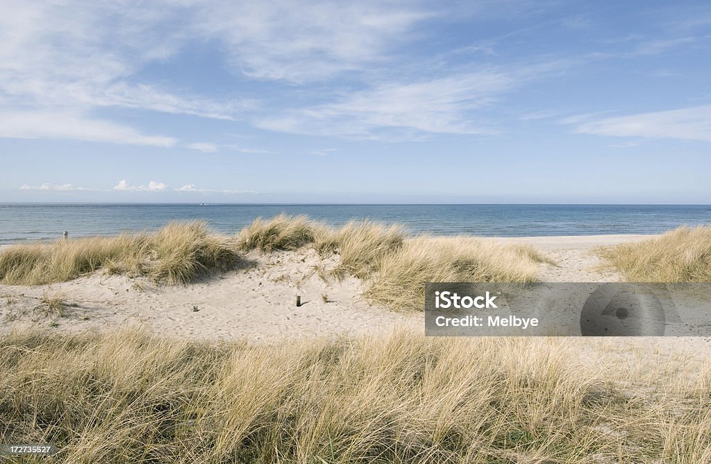 La plage - Photo de Plage libre de droits