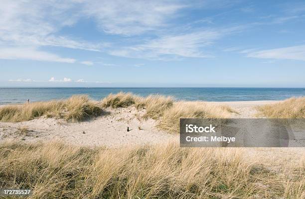 ビーチ - 浜辺のストックフォトや画像を多数ご用意 - 浜辺, デンマーク, 夏