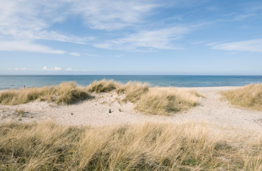 Beach at the northern zealand in Denmark