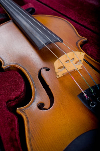 istock Close-up of a classical violin 172735754