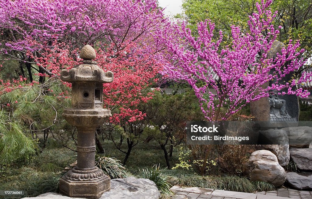 Giardino con alberi fioriti a Xian - Foto stock royalty-free di Giardino zen