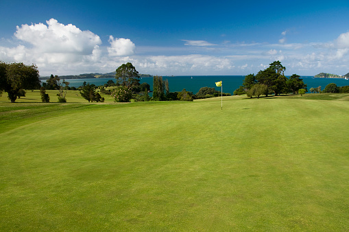 A golf green in the Bay of Islands, in the North of New Zealand.