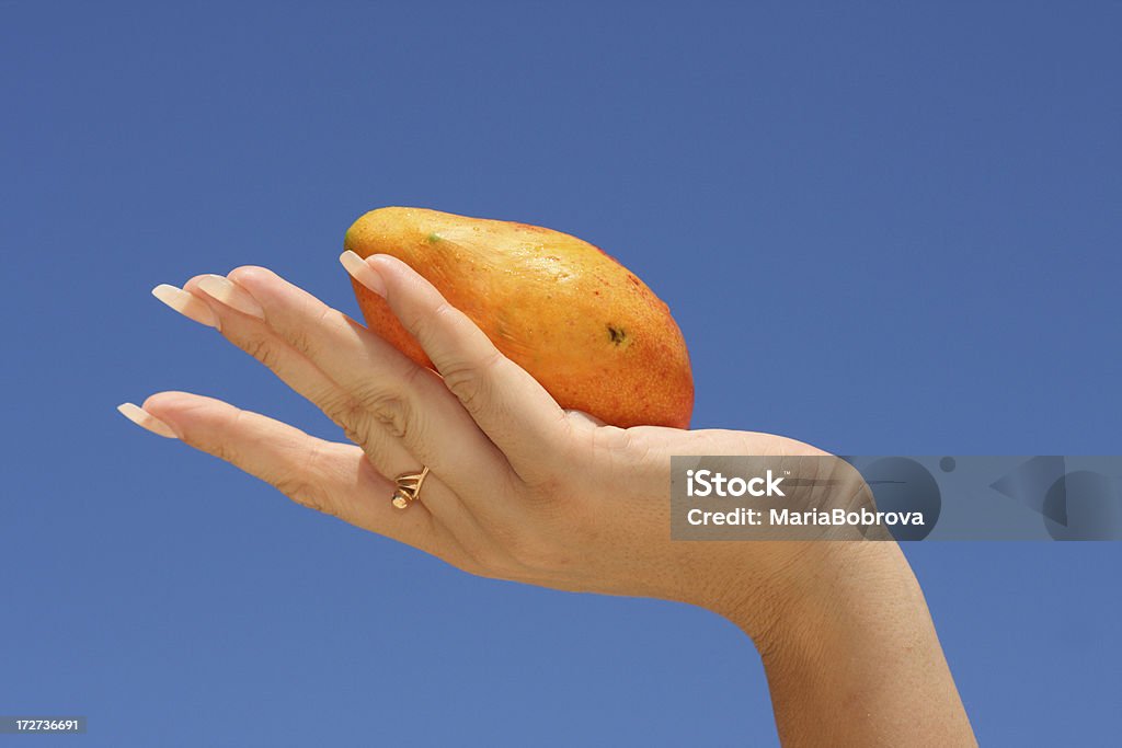 манго - Стоковые фото Акриловая живопись роялти-фри