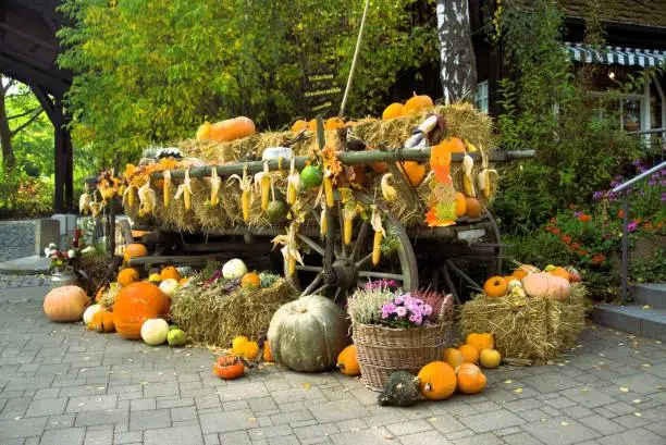 pumpkins decorated arround a wooden wagon