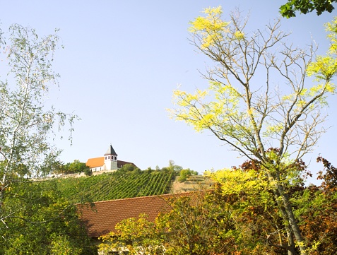 a Hill with a chirch on top surrounded from wineyards