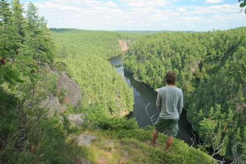 A young man looks out into a beautiful river canyon surrounded by thick forest.