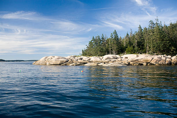 north east atlantic coastline including rocks, ocean and pine tree forest