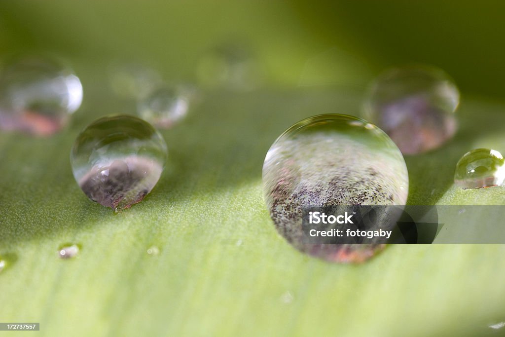 Raindrops - Foto de stock de Abstrato royalty-free