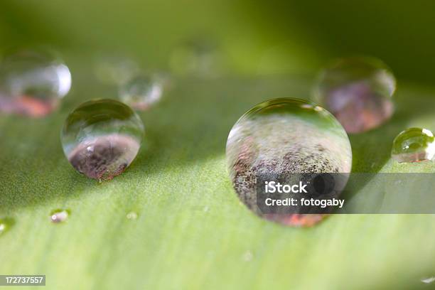 Foto de Raindrops e mais fotos de stock de Abstrato - Abstrato, Chuva, Esfera