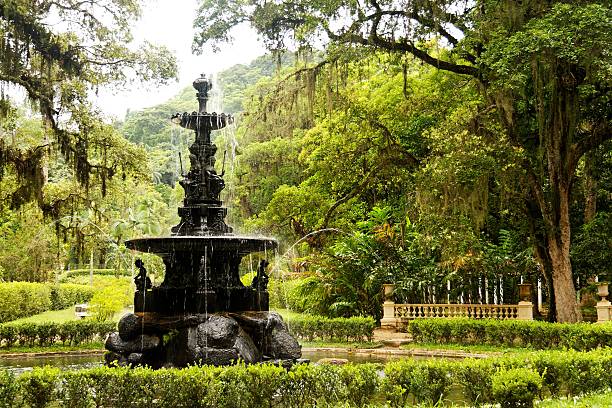 jardines botánicos - jardín botánico fotografías e imágenes de stock