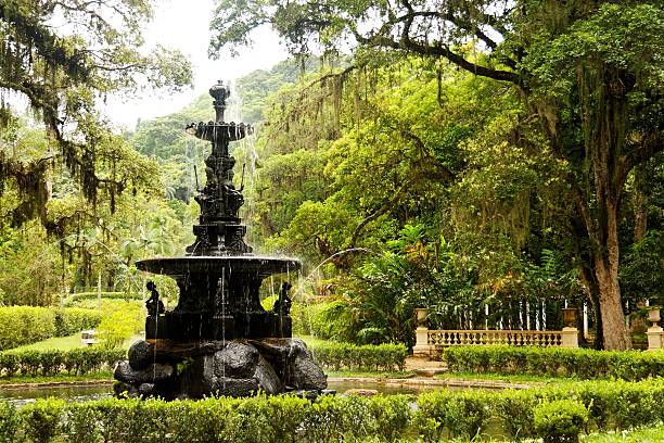 Botanic gardens A water fountain in the botanic gardens in Rio de Janeiro botanical garden photos stock pictures, royalty-free photos & images