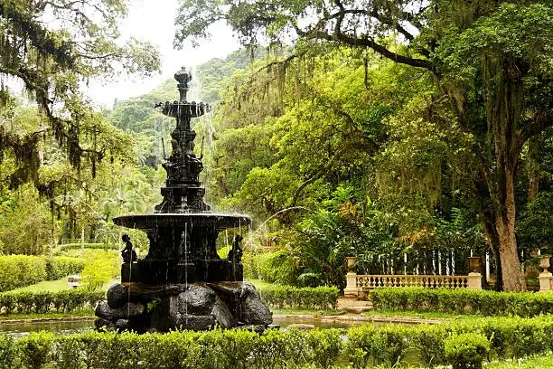 A water fountain in the botanic gardens in Rio de Janeiro