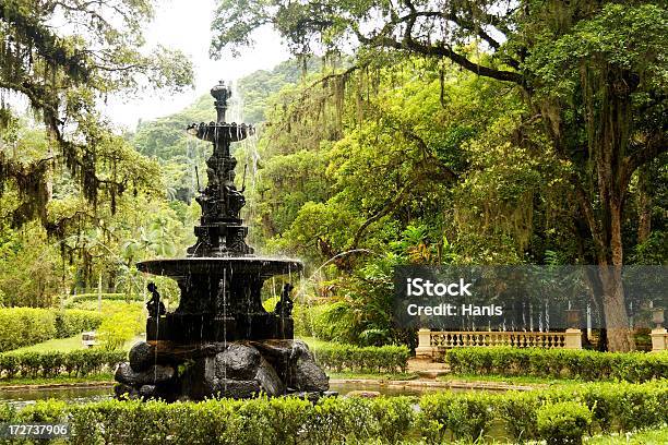 Foto de Jardins Botânico e mais fotos de stock de Jardim Botânico - Jardim Botânico, Rio de Janeiro, Parque público