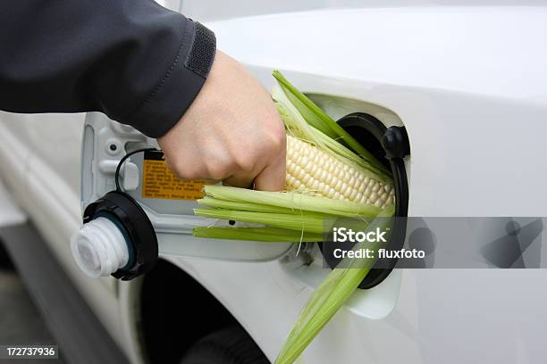 Foto de De Combustível Alternativo e mais fotos de stock de Biomassa - Energia renovável - Biomassa - Energia renovável, Biocombustível, Carro