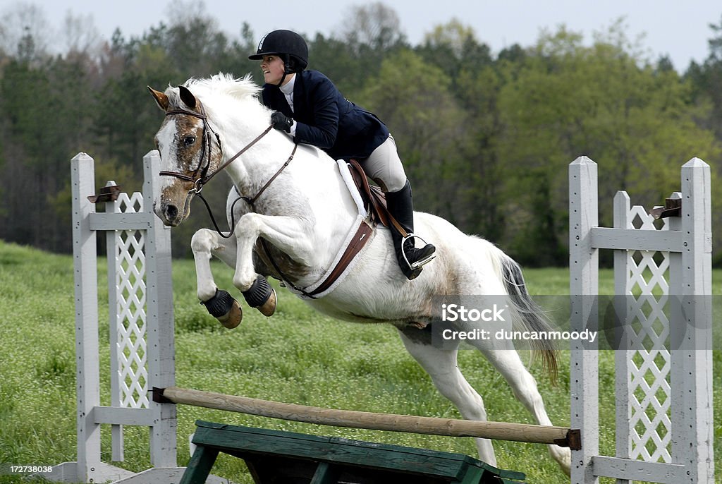 Foto de Adolescente No Branco Cavalo Pulando Muro e mais fotos de stock de  Cinza - Descrição de Cor - Cinza - Descrição de Cor, Concurso de Saltos  Equestres, Adolescente - iStock