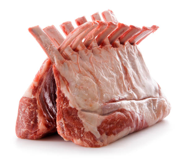 crudo carne di costolette di agnello isolato su sfondo bianco - lamb isolated meat animal bone foto e immagini stock
