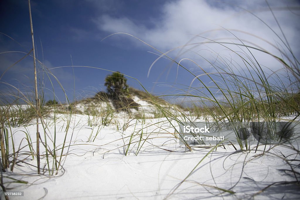 Beach dune Beach dune in Florida. Beautiful white sans and blue sky. Beach Stock Photo