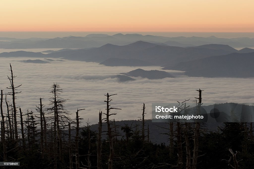 Smokey montagna alba - Foto stock royalty-free di Albero
