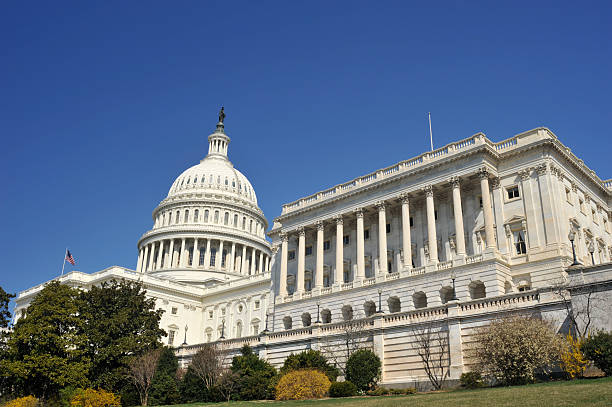 istock Capital Hill of USA 172738403