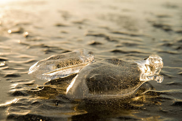 La formación del hielo - foto de stock