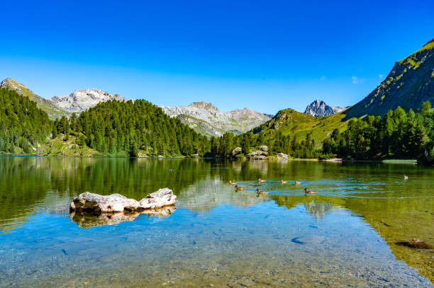 istock Cavlocc Lake, Engadine, Switzerland. 1727386582