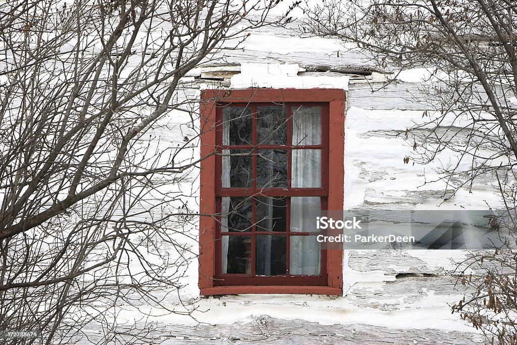 Finestra per passato - Foto stock royalty-free di Albero