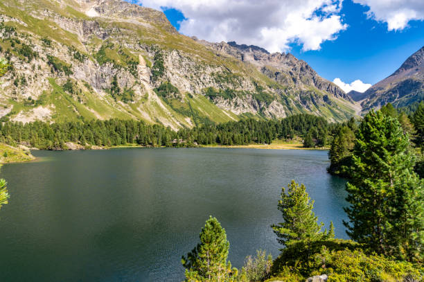 istock Cavlocc Lake, Engadine, Switzerland. 1727387125