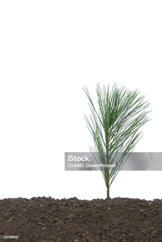 Salvar o terra - Foto de stock de Colocar Plantas em Vasos royalty-free