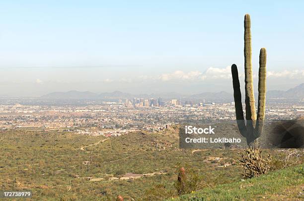 Phoenix Ensolarado - Fotografias de stock e mais imagens de Ao Ar Livre - Ao Ar Livre, Arizona, Cato