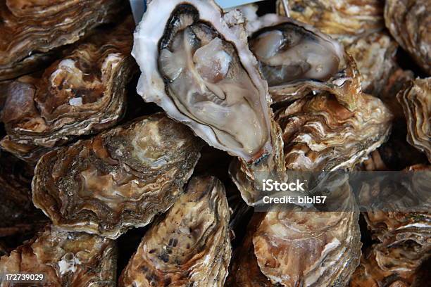 Fresh Oysters For Sale Stock Photo - Download Image Now - Oyster, Animal, Animal Shell