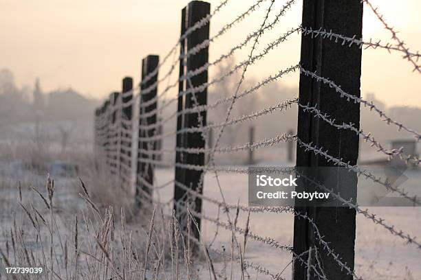 Non Cè Pass - Fotografie stock e altre immagini di Affilato - Affilato, Alba - Crepuscolo, Barriera