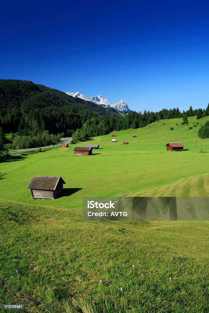 Bayerische Landschaft - Lizenzfrei Agrarbetrieb Stock-Foto