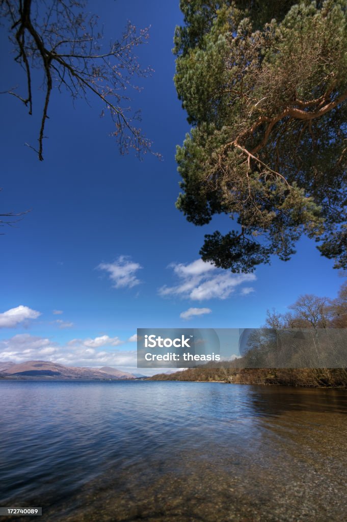 Arboladas Loch Shore - Foto de stock de Agua libre de derechos