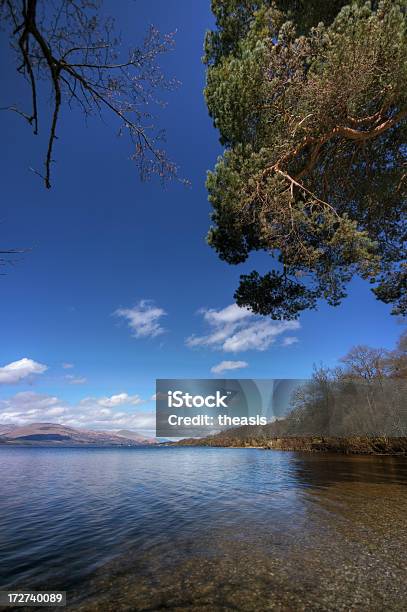 Árvorelined Lago Costa - Fotografias de stock e mais imagens de Ao Ar Livre - Ao Ar Livre, Azul, Beira d'Água