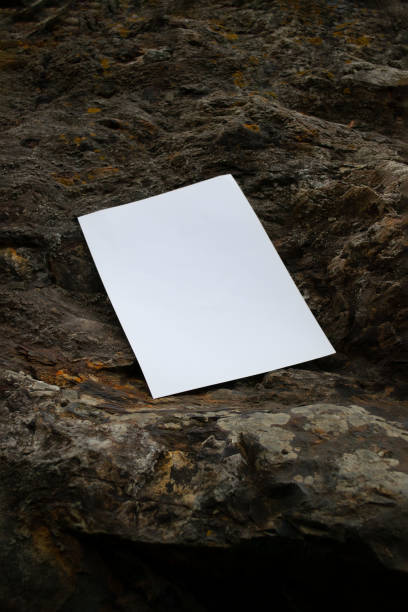 istock Layout of a poster on a stone brown background. White blank with space for text or design 1727410024