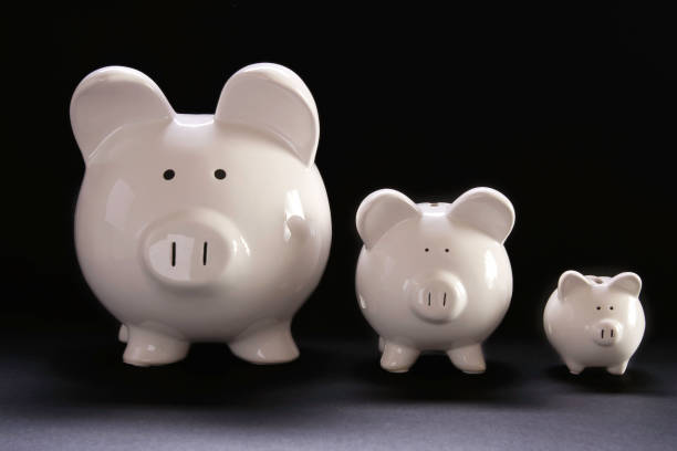 Three Little Pigs Three white piggy banks biggest stock pictures, royalty-free photos & images