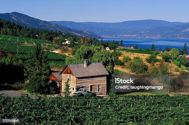 Okanagan Valley Vineyard Log Cabin Stock Photo - Download Image Now - Kelowna, Farm, Farmhouse