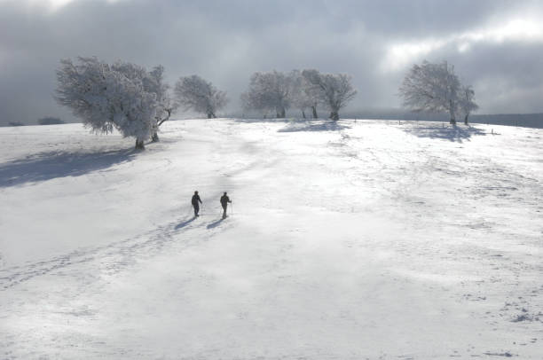 두 스키어 겨울 풍경 - cross country skiing black forest germany winter 뉴스 사진 이미지