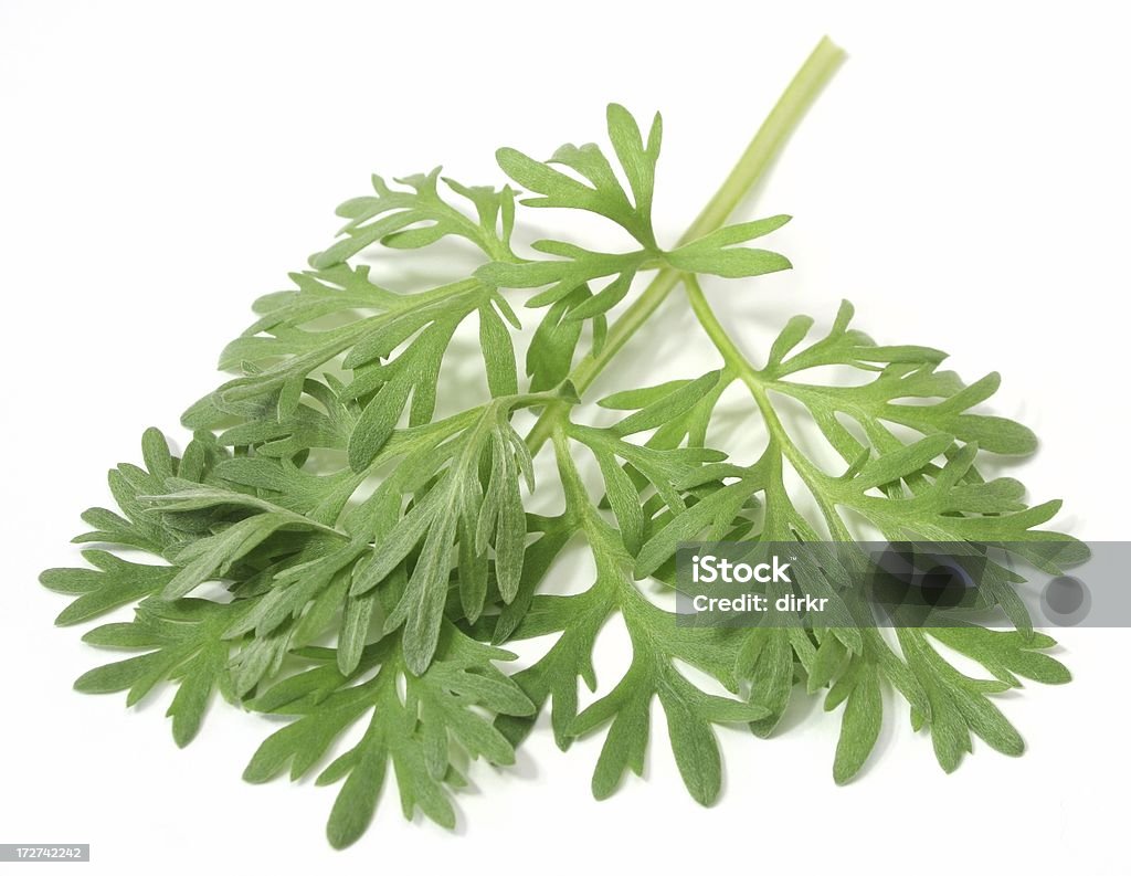 Wormwood - Lizenzfrei Alternative Medizin Stock-Foto