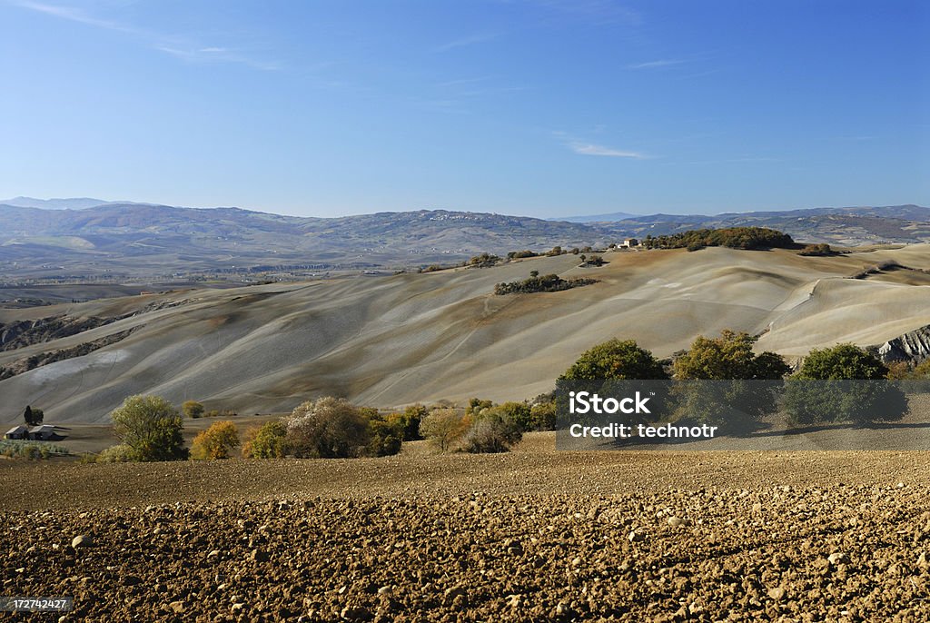 Paisagem toscana - Foto de stock de Agricultura royalty-free