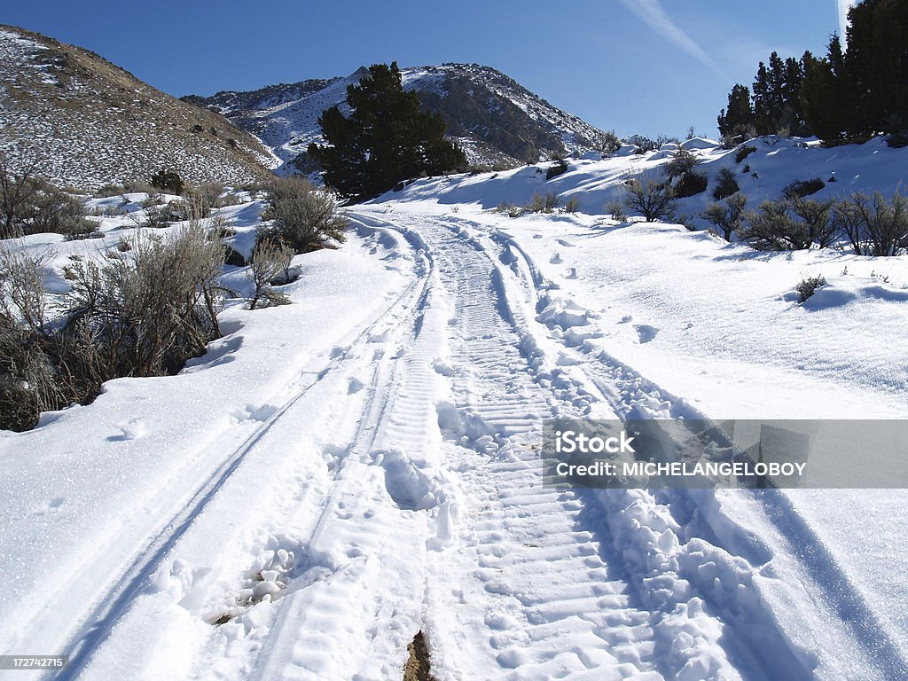 Olhando para trás de Snowmobile - Foto de stock de Beleza natural - Natureza royalty-free