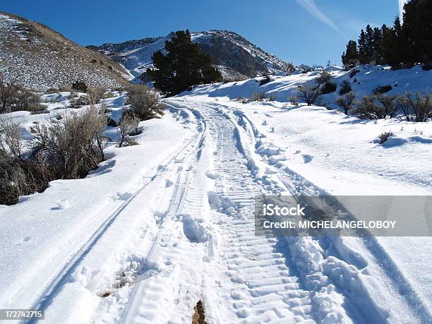 Foto de Olhando Para Trás De Snowmobile e mais fotos de stock de Beleza natural - Natureza - Beleza natural - Natureza, Cordilheira, Esporte