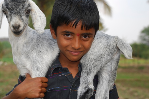 Boy with a lamb