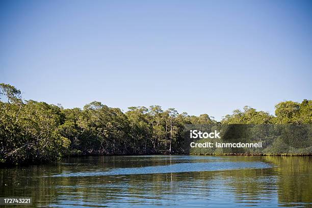 On The Water Stock Photo - Download Image Now - Blue, Brightly Lit, Bush