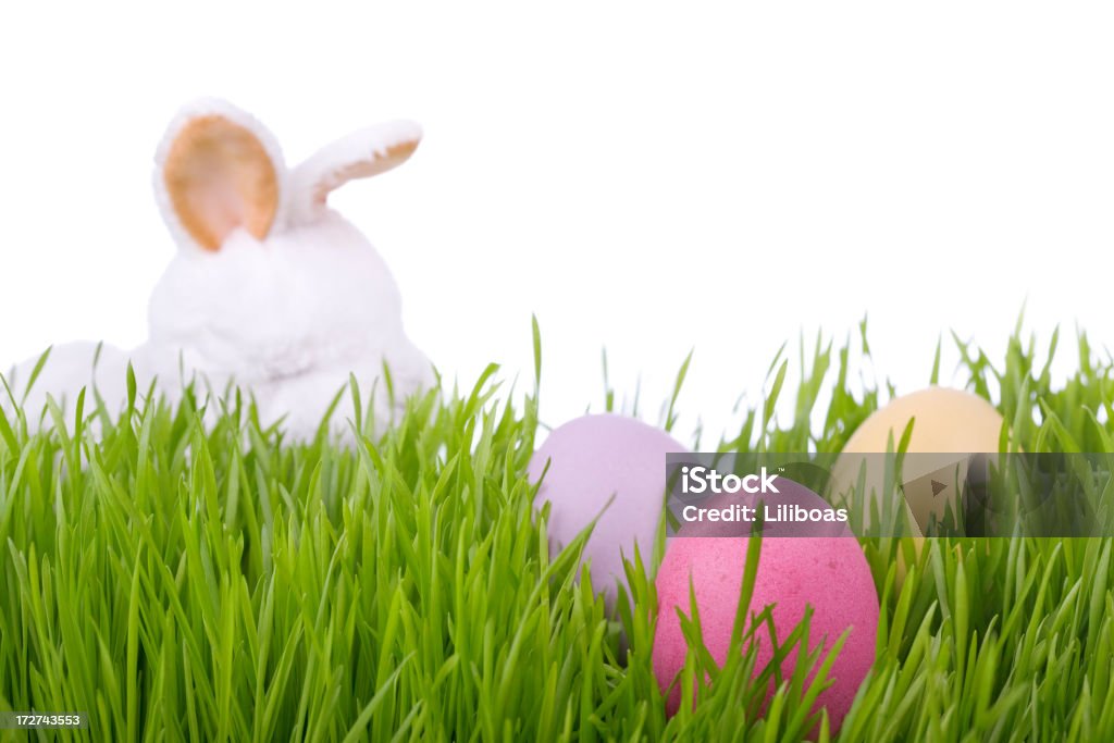 Easter Bunny (XL - Lizenzfrei Ei Stock-Foto