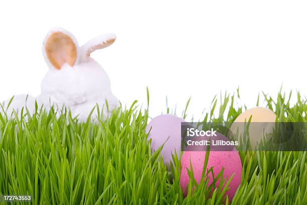 Easter Bunny Xl Stockfoto und mehr Bilder von Ei - Ei, Festliches Ereignis, Fotografie